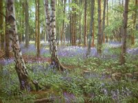 Landscapes - Sold (145)
